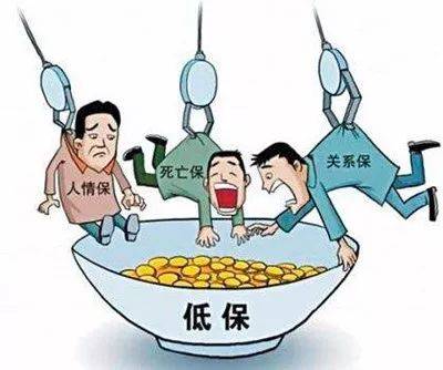 確?；剡w分配全過程在陽光下操作