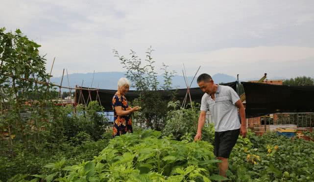 濟南南部山區(qū)有不少小產權房依山傍水